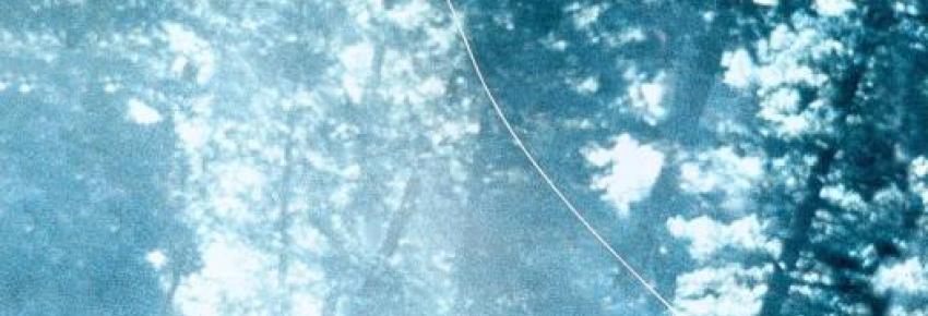 Et au milieu coule une rivière