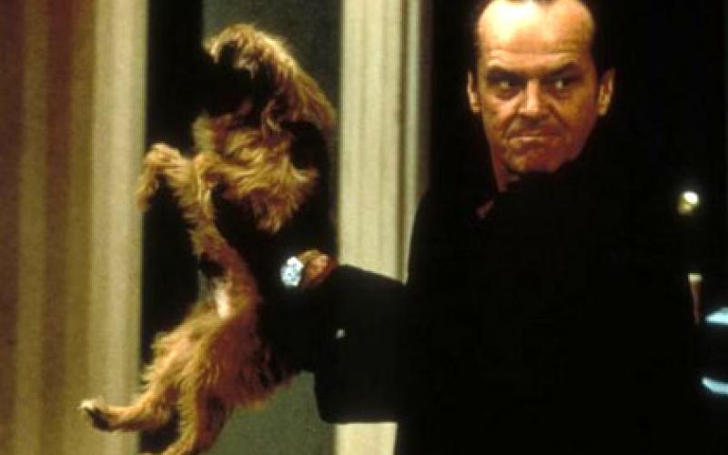 Jack Nicholson et le chien dans pour le meilleur et pour le pire